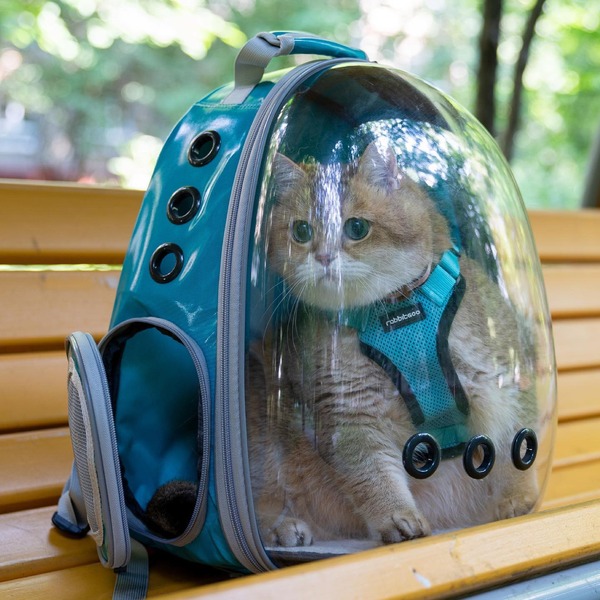 209762175_382376719918628_2364705203569114634_n