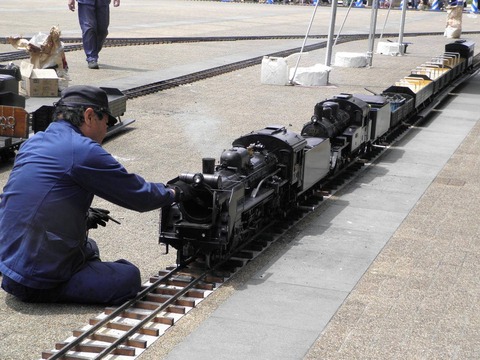 13217185_572771552902135_8886400823140577657_o