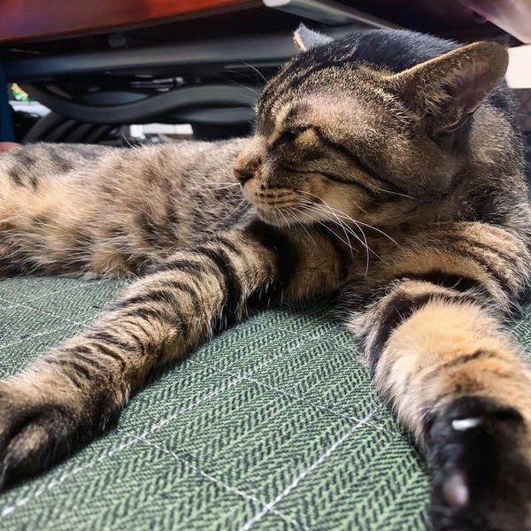 207220238_5940634152645803_7746559108013905316_n