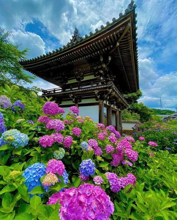 198778988_345329280296414_412515469352427952_n