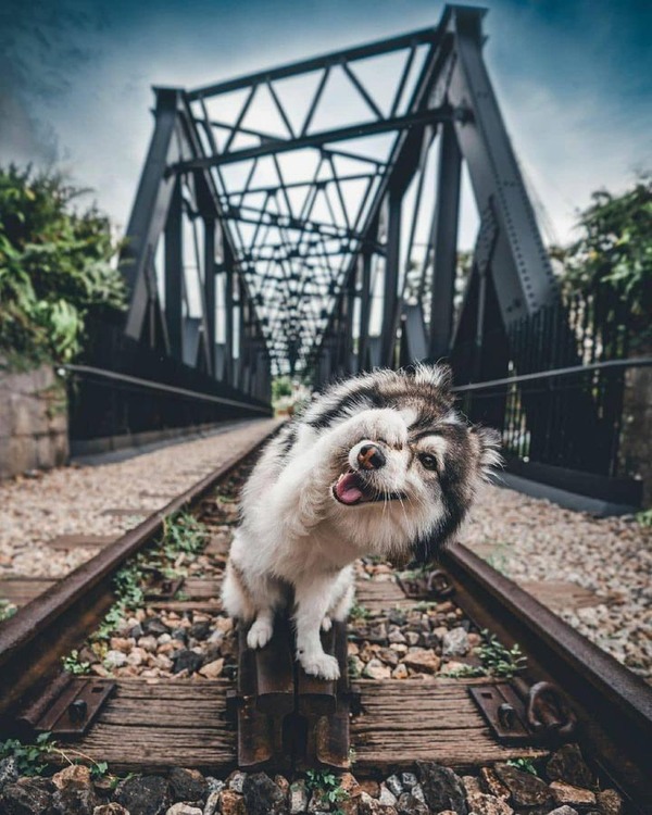 206441704_1920535911672240_3150841662513263469_n