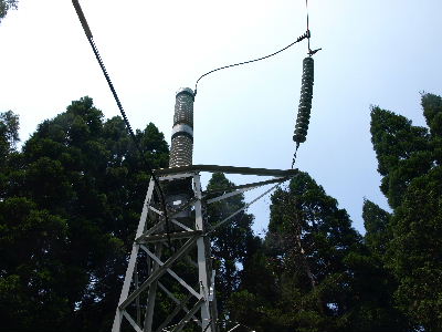 78255995_1344263589086257_8016966708965146624_n