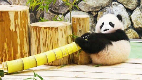 184973511_3939212782840552_1324050610497672991_n