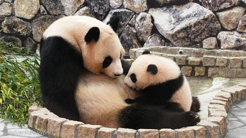 186031771_3930566973705133_632581771671770455_n