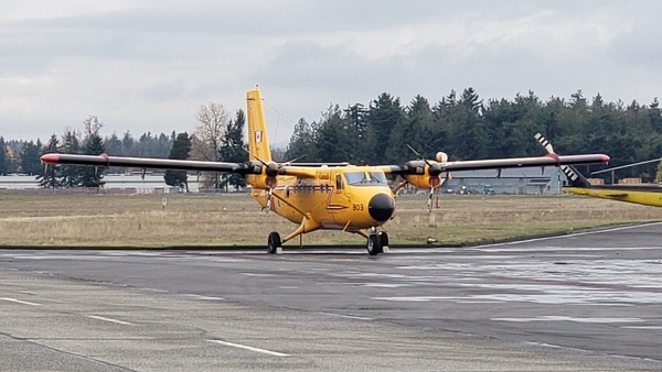 255972492_201408608841828_6056976551415265038_n