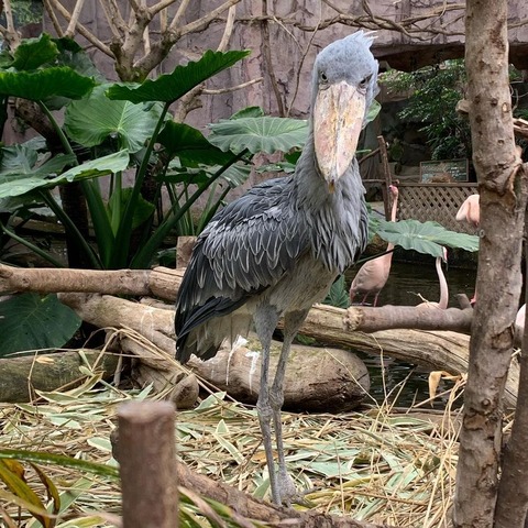 187187757_4376109885756731_8490004128558792837_n