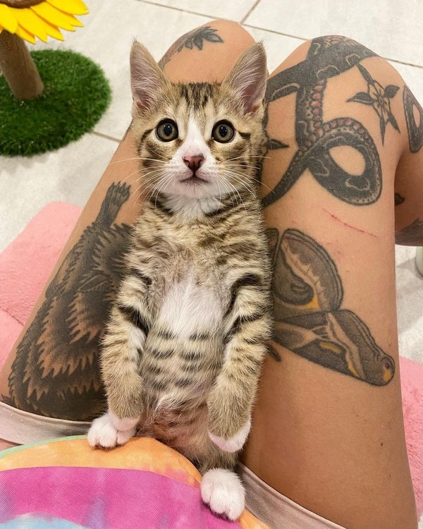 200955632_347568696738155_7576676204565990422_n