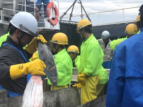 106097165_771313380352421_7201551459447706772_n