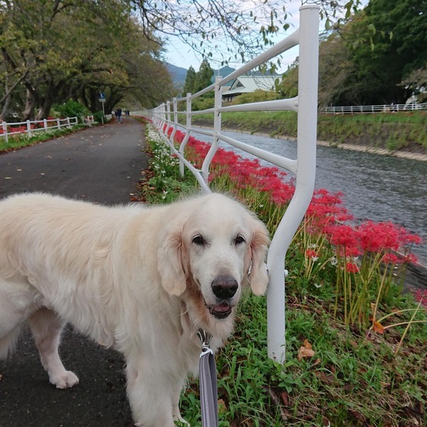 242729561_4286926104696348_4954920013490184422_n