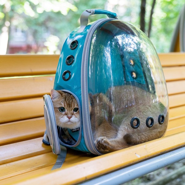 209277575_382376773251956_6143016918349423810_n