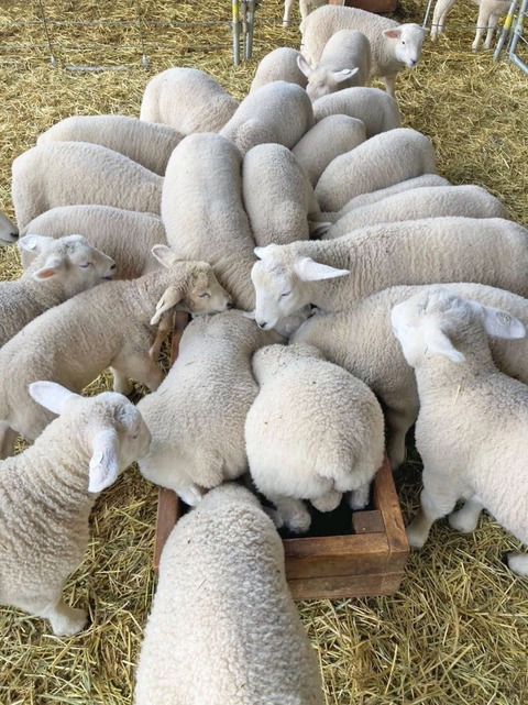 188562894_5381701545233230_3382659302985217936_n