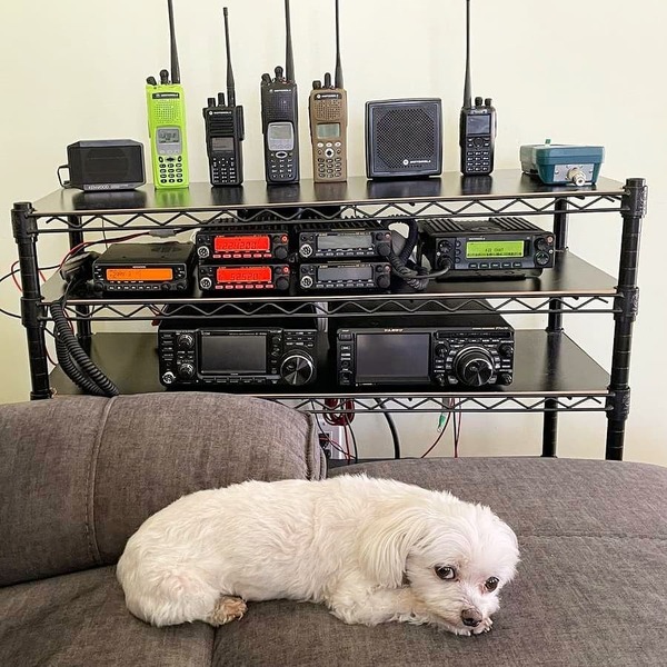 202131472_4573564465996502_1800792665958882692_n