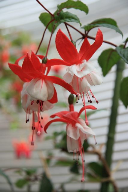 186544547_4282162151795881_6297724839501510530_n