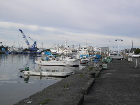 11289417_450659455113346_7724110147166588646_o