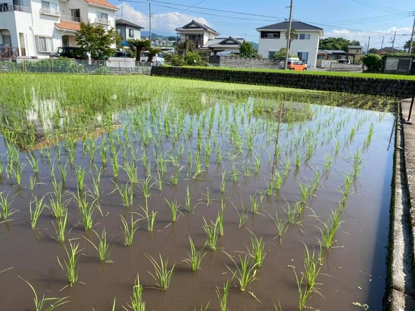 203497844_10158563273174055_8175650418456869451_n