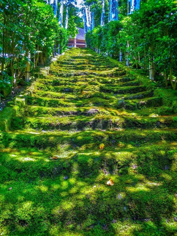 205089779_4623507907678696_4022143635620210244_n