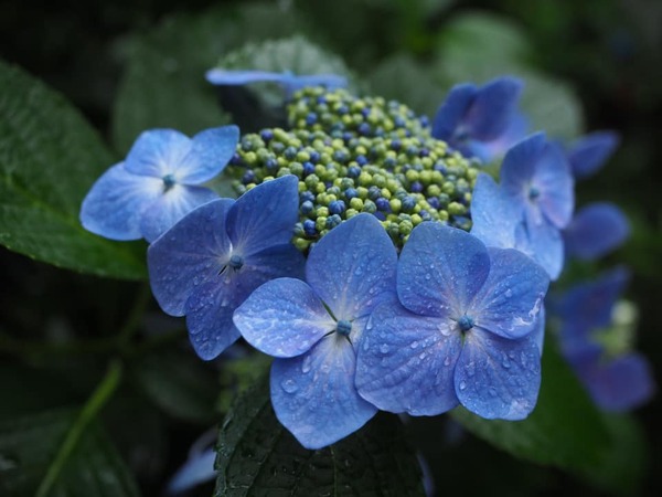 202950947_2944514995877025_3866868370355010076_n