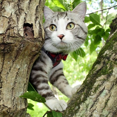 188875799_308843750845580_536709760489386574_n