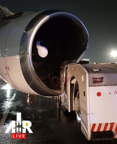 image-kQyanmNKTPeTbjtV