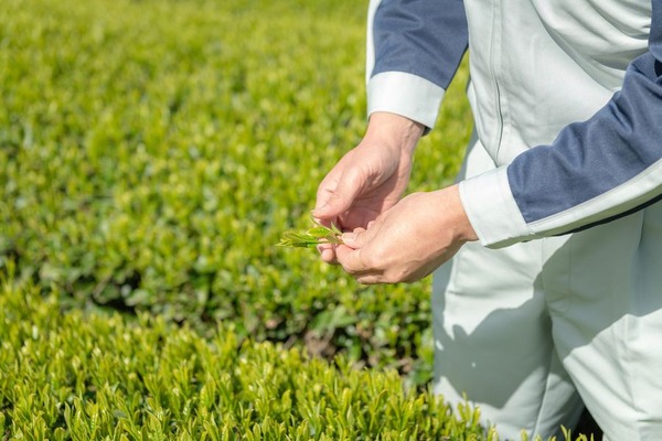 204877050_525093622268590_3473125798614255229_n