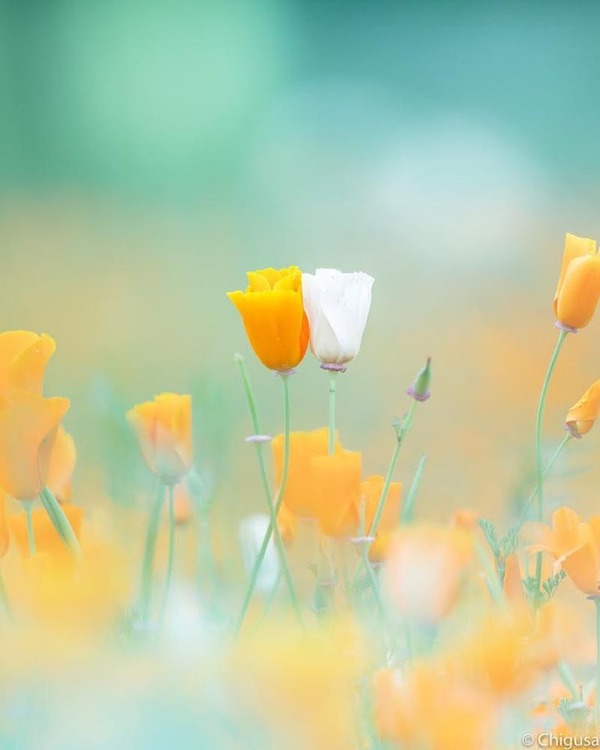 207520804_2850581461857114_1463059756945503012_n