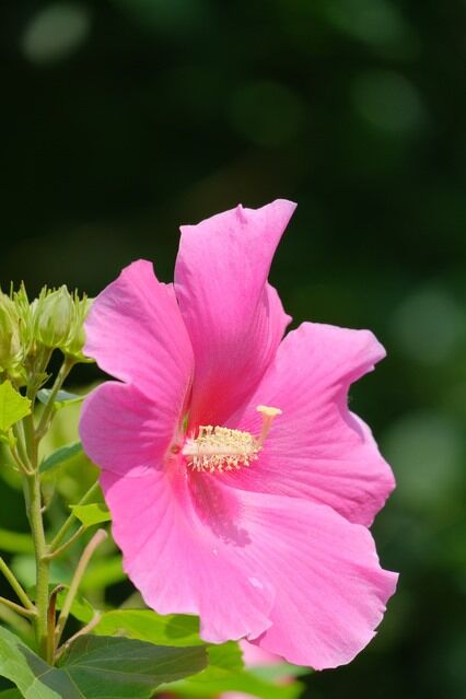 204842726_4392705454074883_8078238344498842897_n