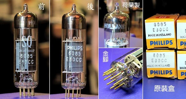 1010550_619914551353392_447759844_n