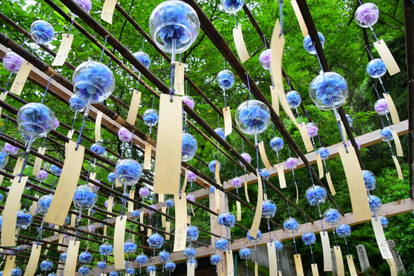 203932259_3767122326845576_253255281639977545_n