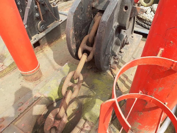 207615626_329233238792348_5715029179539956827_n