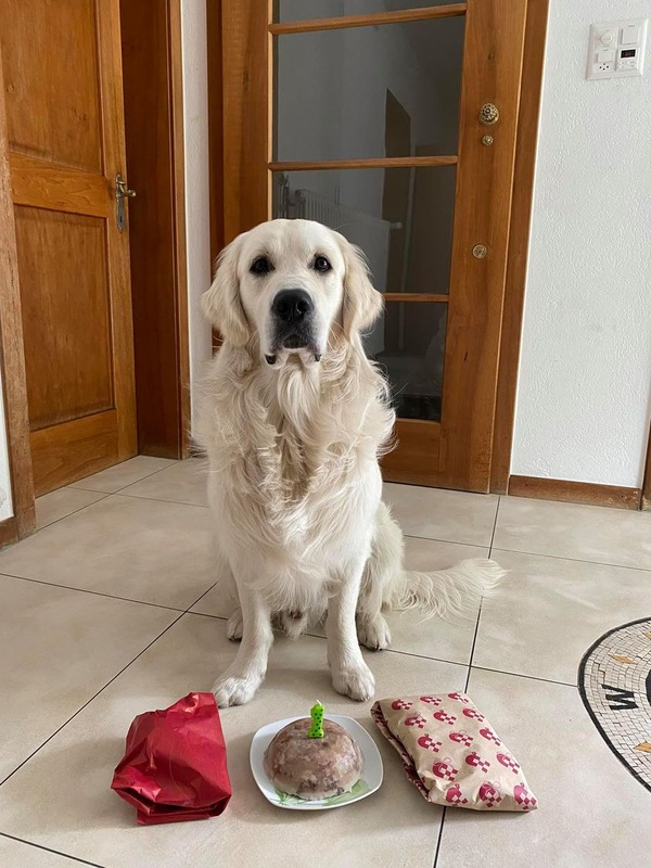 207872966_2663789703913886_8319432341506372624_n