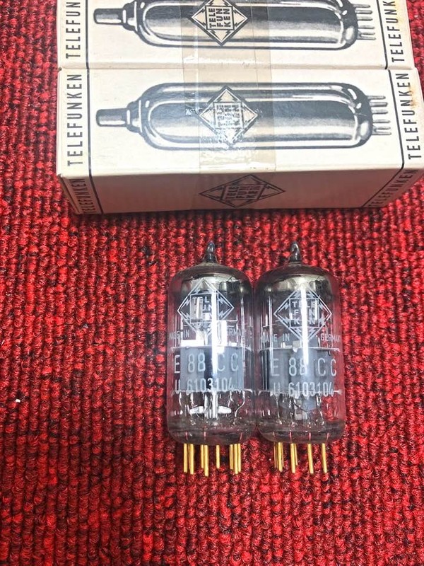 273182696_5173558306045035_8841931212397025143_n