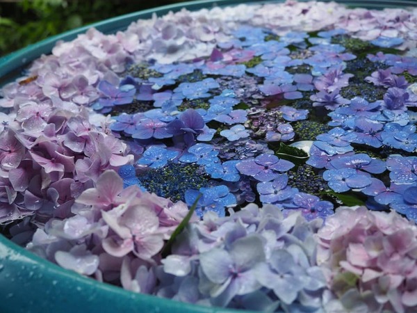 202397300_2944514962543695_947354731035726510_n