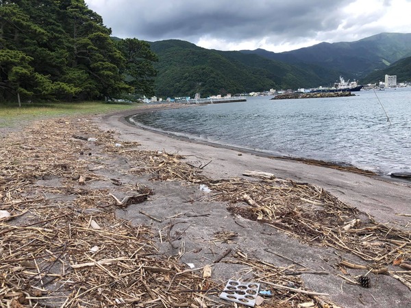 205795854_4362227553853030_2756196255809804567_n