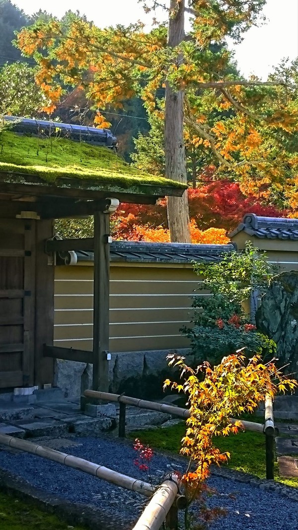 204001231_5696959290378550_2582572038003846218_n