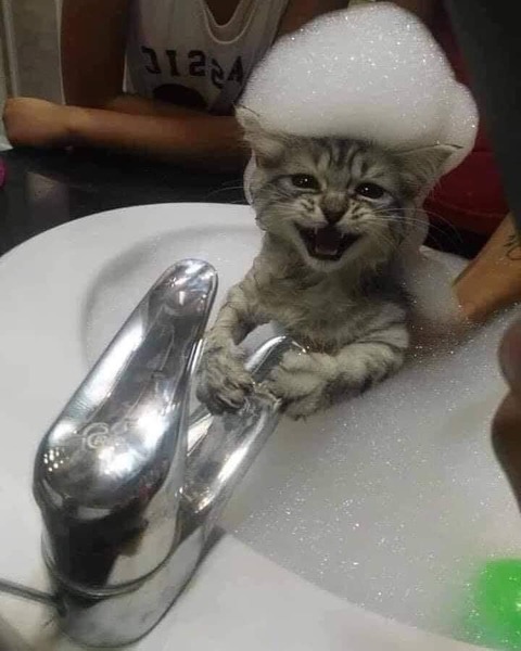 183968768_3584496304987861_1752956444748579696_n