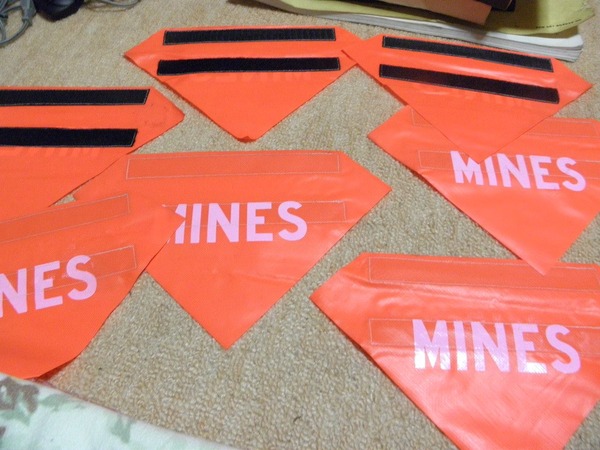 21949772_814866848692603_9020128790244504452_o