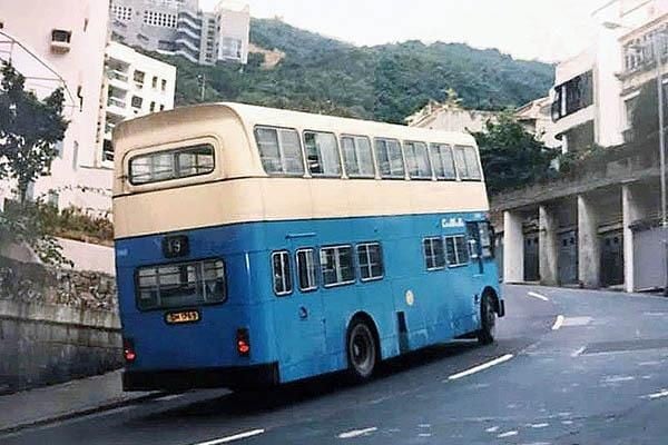 206094092_10159410681267748_2739252015217690618_n