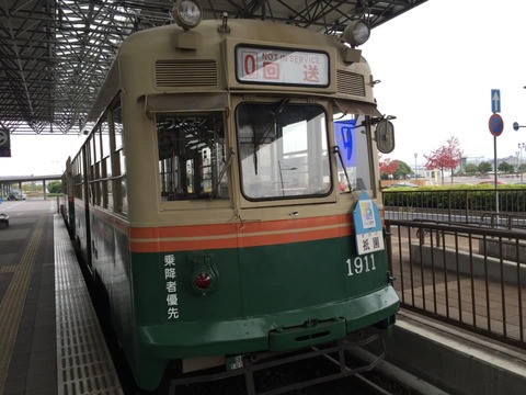 186302562_337673594375766_7330819787275573721_n