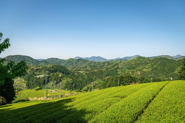 205576797_525093455601940_2661987239775925987_n