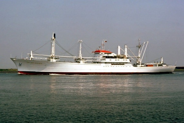 241635116_559195332083774_1438598171428257258_n