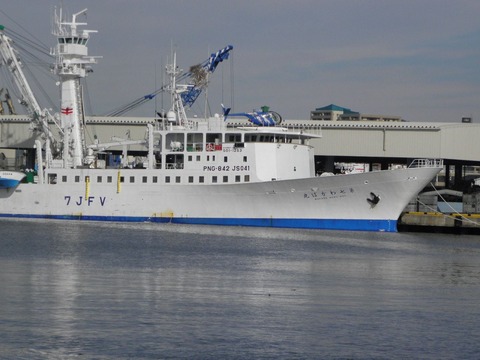 10926170_448328575346434_6708966659656190962_o