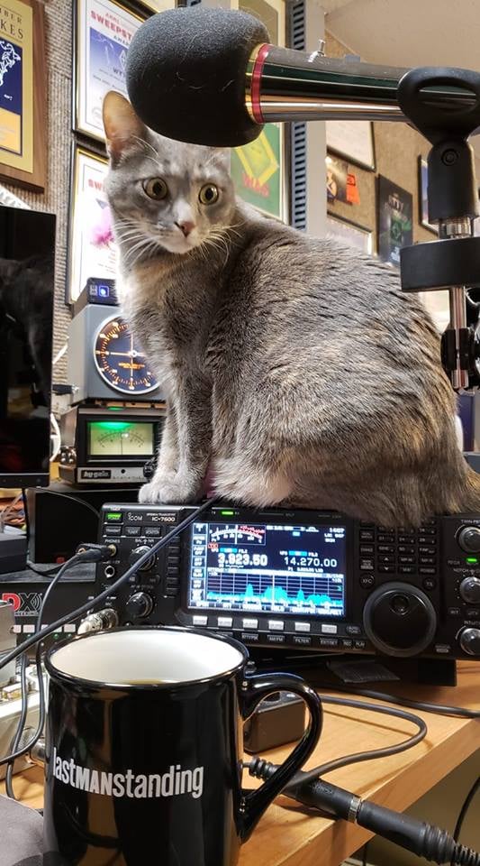 242092278_4174908162577758_896778919284513597_n