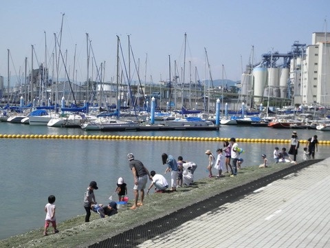 13254913_575075292671761_110707832795600020_o