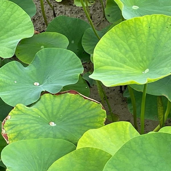 209537905_2798706213773701_2891701559089610723_n