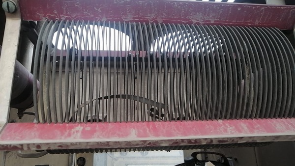 212256660_10224320642899983_888862295113588739_n