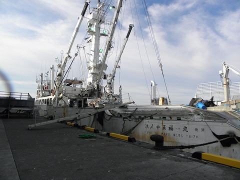 11411692_450659411780017_1636092630537061894_o