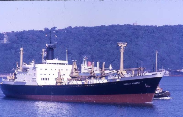 242065013_563536164983024_6147595425921962429_n