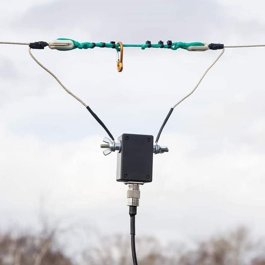 241168998_4800293553323591_7569676617097820985_n