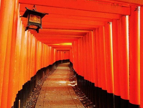 186558432_479086473311280_1370509744917185210_n