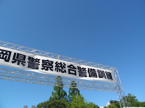 10986451_464884137024211_8859555011559656665_o